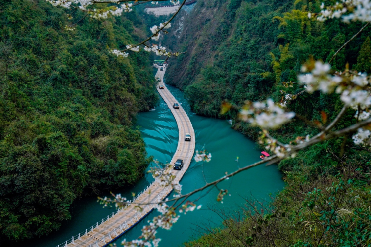 1759334421-8508a12513d4380 1759334421-8508a12513d4380