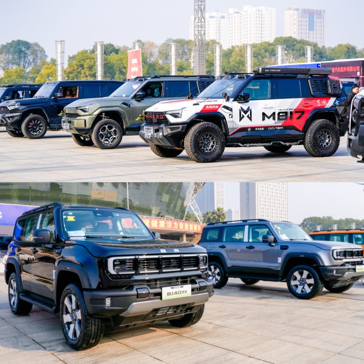 1766417402-9c6af63e2ed2354 1766417402-9c6af63e2ed2354