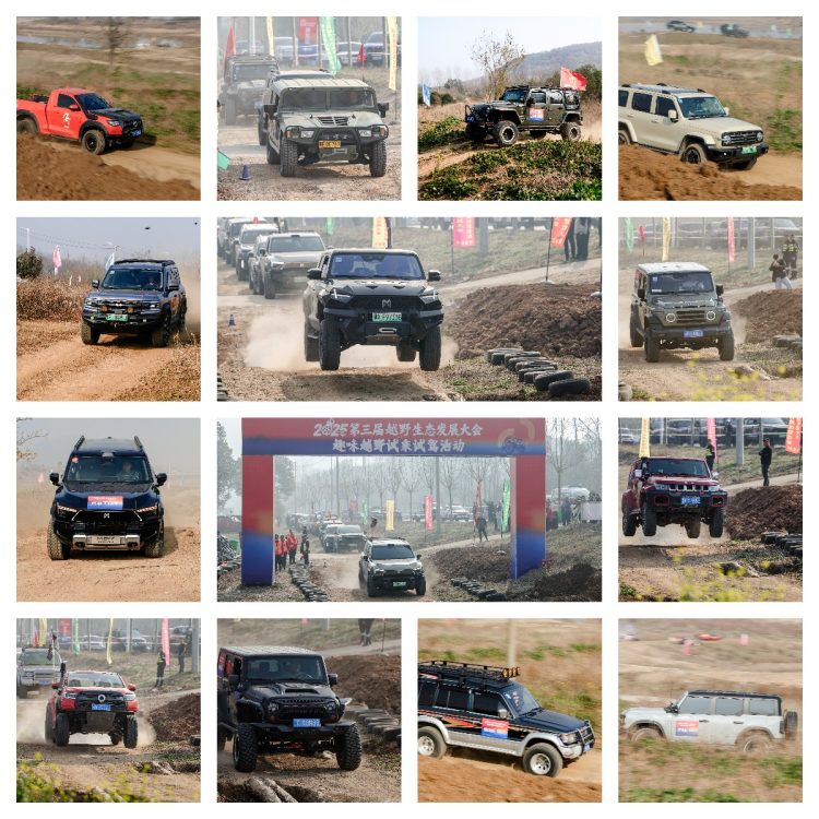 1766417403-a9586e905bcfd5c 1766417403-a9586e905bcfd5c