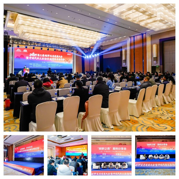 1766417402-90559e1e747e4c5 1766417402-90559e1e747e4c5